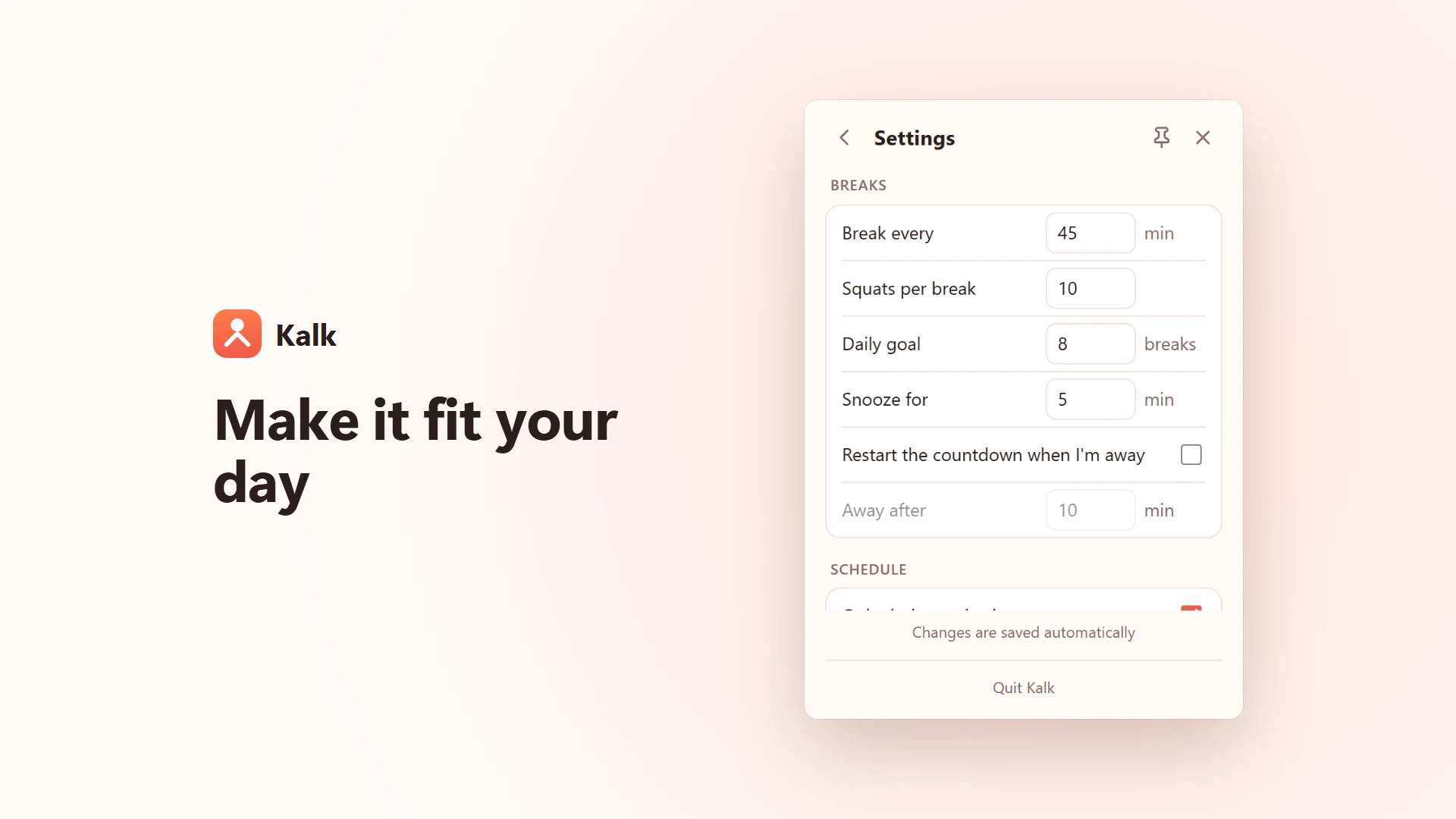 Settings: break interval, squats per break, daily goal and more